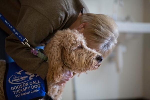 Cute Therapy Dog with human